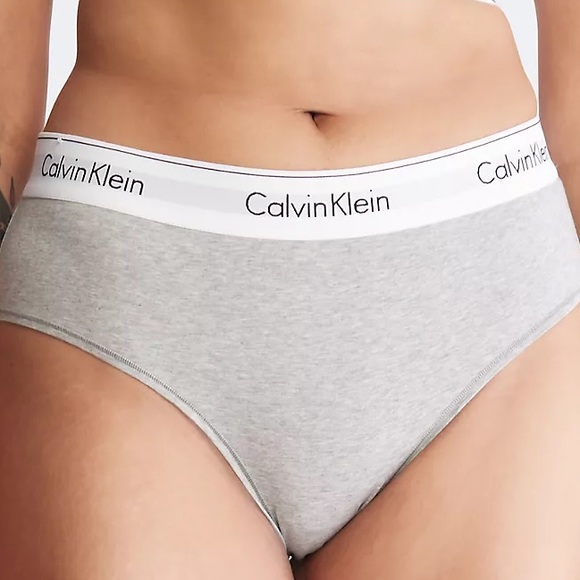 NWT Calvin Klein Modern Cotton Plus Hipster - Picture 1 of 9